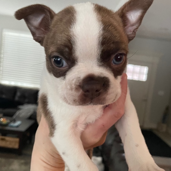 Profile Picture of Ronna Campbell (@jrcampbell308) on Poshmark