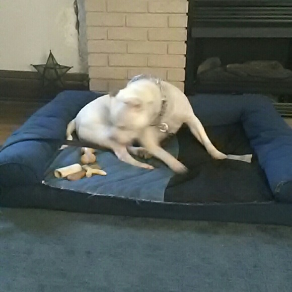 Pam Wollet - Poshmark Profile Picture of Pam Wollet (@trainermoma) on Poshmark