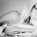 Profile Picture of Andree Shriner (@andree.shriner) on Facebook