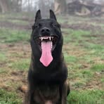 Profile Picture of Paul Shell (@Paul-Shell) on Facebook