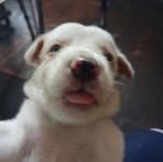 Profile Picture of Jonalyn Alvarez (@izcen.yuan) on Facebook