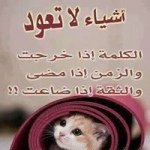 Profile Picture of Taeger (@al_mastronjj) on Instagram