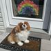 Profile Picture of Madeline Maple Farms (@madeline.maplefarms.9) on Facebook