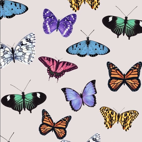 Profile Picture of Amia Carrion (@amiajc) on Poshmark