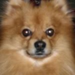 Profile Picture of Ingeborg Schneider (@ingeborg.schneider.37) on Instagram