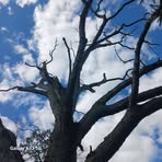 Profile Picture of Aaron Schlecht (@aaron.schlecht.96) on Facebook