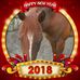 Profile Picture of Diane Kuiper (@diane.kuiper1) on Facebook