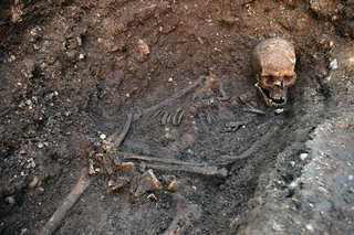 Profile Picture of Exhumation and reburial of Richard III of Englandon Wikipedia