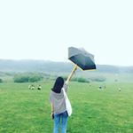 Profile Picture of homin_chan (@homin_chan) on Instagram