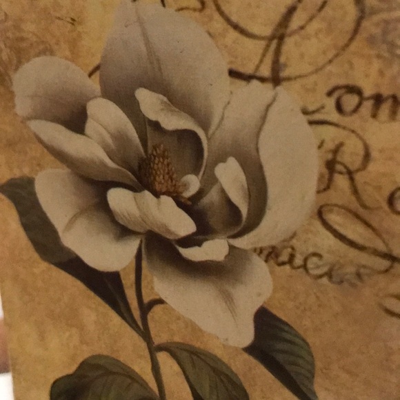 Profile Picture of Christine Santangelo (@xtine0522) on Poshmark