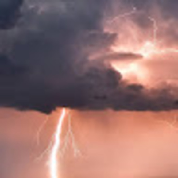 Profile Picture of Mark Rose (@markrose265) on Poshmark