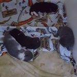 Profile Picture of Laura Schwalbe Klug (@laura.klug.58) on Instagram