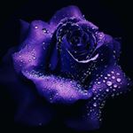 Profile Picture of Darlene Manning (@darjoy7) on Instagram