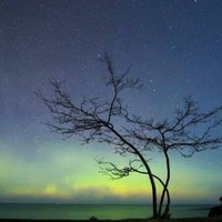 Profile Picture of Robert Bird (@robert-bird-16) on Quora