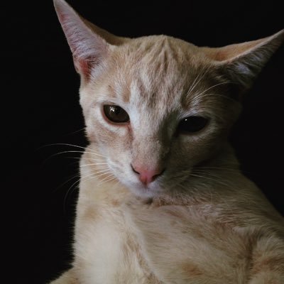 Profile Picture of Aaron Almendarez (@aaron1232345) on Twitter