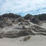 Profile Picture of Peter Eßmann (@peteressmann) on Instagram