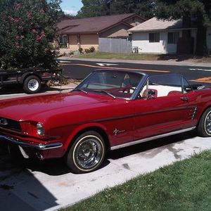 Profile Picture of Harryo Belafonte (@harryo) on Myspace