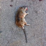 Profile Picture of Andrew Bick (@andrewmbick) on Instagram