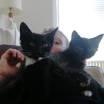 Profile Picture of Ivor Edwards (@fivor_the_engine) on Instagram