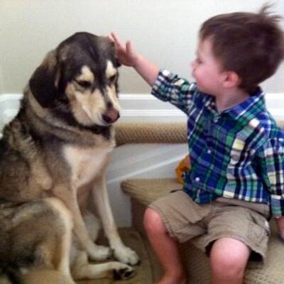 Profile Picture of David Brook (@dbrook96) on Twitter