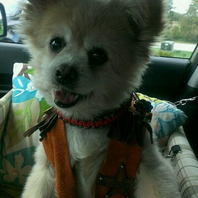 Profile Picture of Sandra Salts (@SaltsSandra) on Twitter