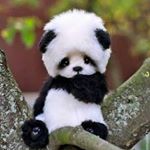 Profile Picture of Collado 你想要裸体宝贝 (@nicolas_colladoo) on Instagram