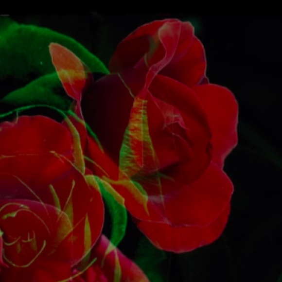 Profile Picture of Evas Schmidt (@trackshoechic) on Poshmark