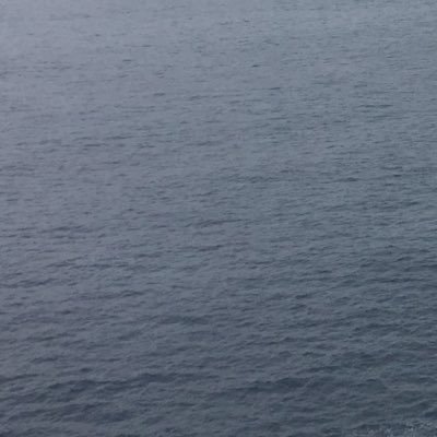 Daniel Bellon - Twitter Profile Picture of Daniel Bellon (@dani_bellonP) on Twitter