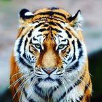 Profile Picture of Nathan (@nathanbroderick719) on Instagram