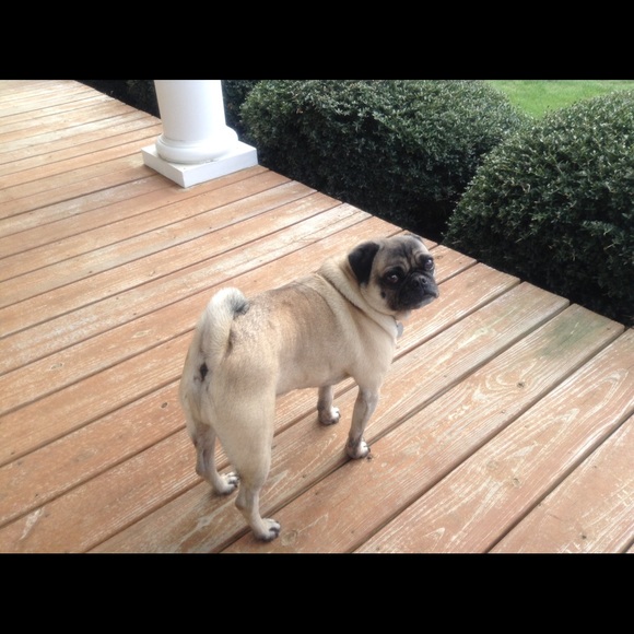 Profile Picture of Pam Mcclain (@mrpeabody) on Poshmark