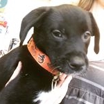 Profile Picture of Paula J. Prettyman (@pjprettyman) on Instagram