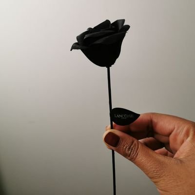 Profile Picture of KarenNoelison (@KarenNoelison) on Twitter