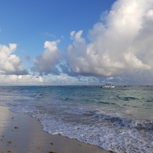 Profile Picture of Jenee White (@white_jen) on Poshmark