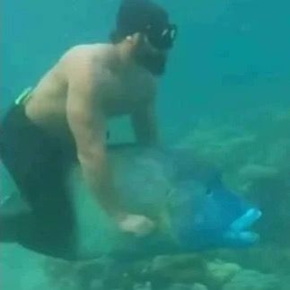 Profile Picture of Erica.minnich (@@erica.minnich) on Tiktok