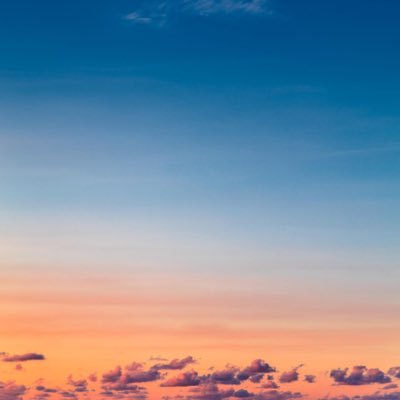 Jacob Reich - Twitter Profile Picture of Jacob Reich (@_jacobreich_) on Twitter