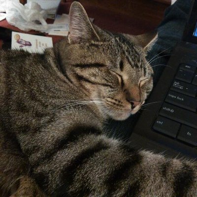 Profile Picture of Jeremy Crawford (@cleanleper) on Twitter