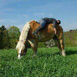 Profile Picture of Matthias Jung (@matthias.jung.9862) on Instagram