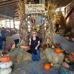 Profile Picture of Janice Campbell (@janice_campbell4) on Instagram