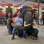 Profile Picture of Chris Wade (@ninelivehellcat) on Instagram