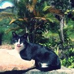 Profile Picture of Andres Malave (@andresmalave06) on Instagram