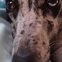 Profile Picture of Jake Boon (@jake-boon-5) on Quora