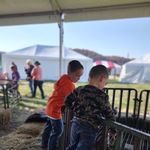 Profile Picture of Debra Mae Elswick (@debbie_elswick) on Instagram