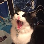 Profile Picture of Clarice Mueller-Johnson (@clarice.muellerjohnson) on Instagram