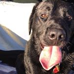 Ted Rowlands - Instagram Profile Picture of Ted Rowlands (@tedrowlands) on Instagram