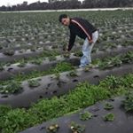 Profile Picture of Mario Lamas (@mario.lamas.564) on Instagram