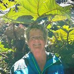 Profile Picture of Lisa Triplett (@lisatriplett11) on Instagram