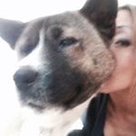 Profile Picture of Sue Anne Konkle (@sueannekonkle) on Instagram