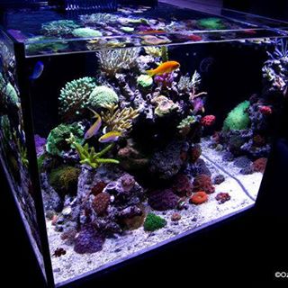 Profile Picture of Jeff Durham (@jeff.durham.1293) on Facebook