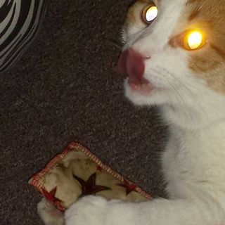 Profile Picture of Benjamin Wiechmann (@benny.wmann) on Facebook