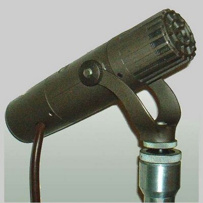 Profile Picture of Dan Glomski (@GlomskiDan) on Twitter